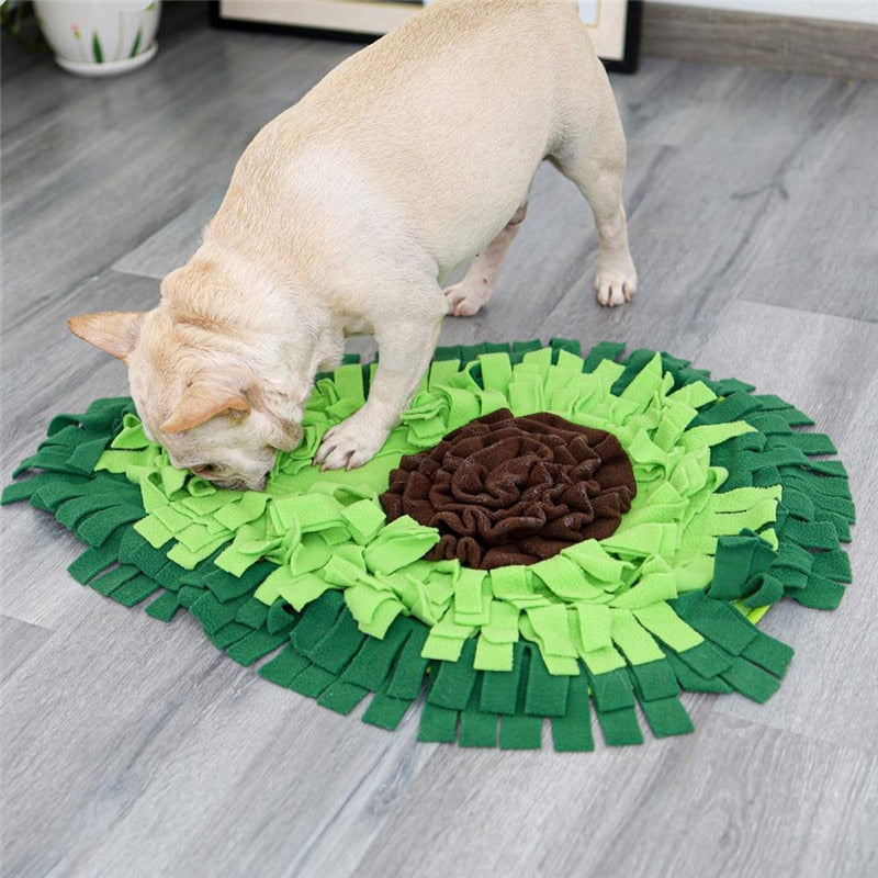 Dog Sniffing Mat  Snack Feeding Mat