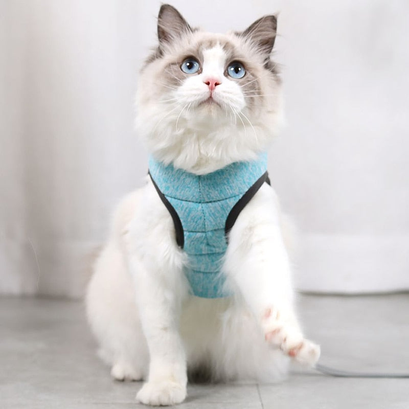 Small Pet Dog Cat Harness Escape-Proof