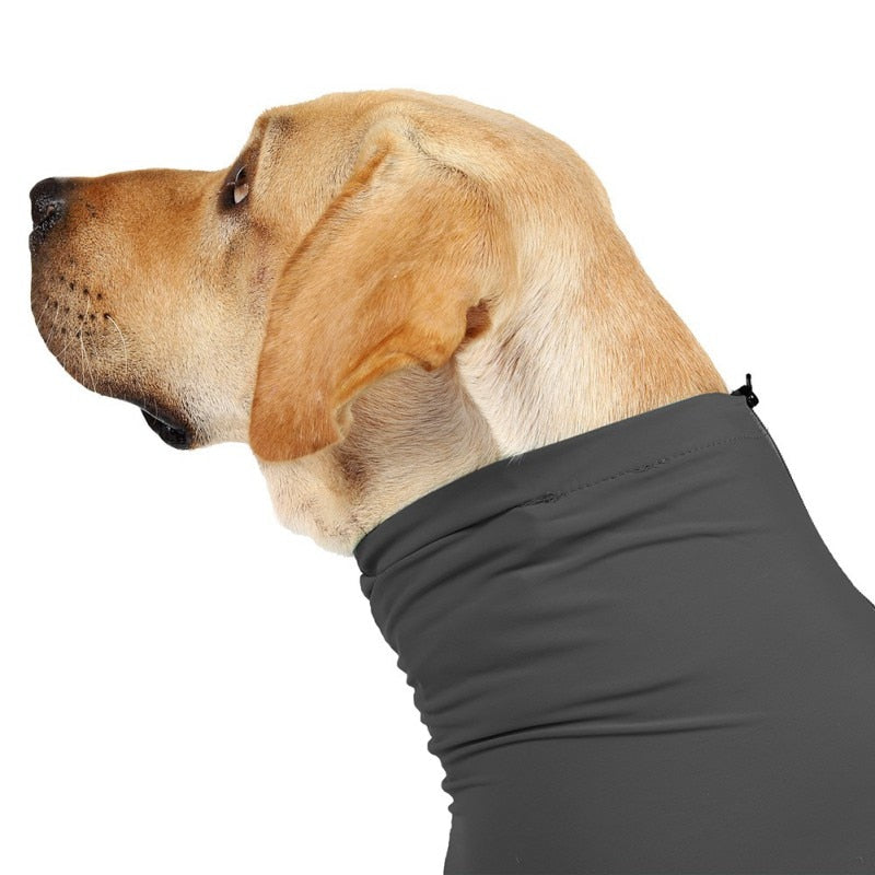 Surgery Recovery Clothes For Dogs