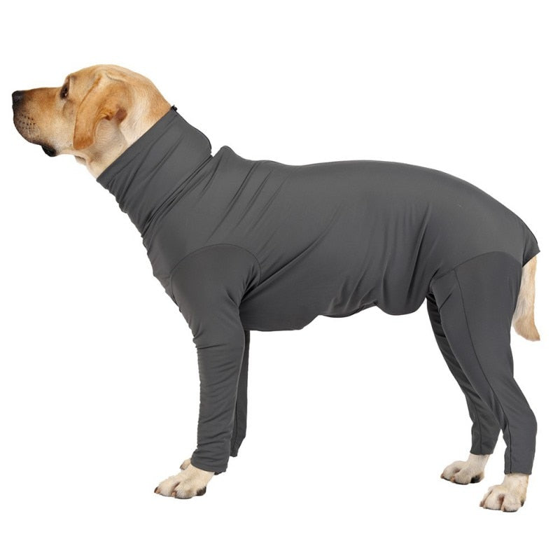 Surgery Recovery Clothes For Dogs