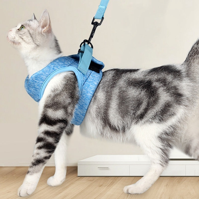 Small Pet Dog Cat Harness Escape-Proof