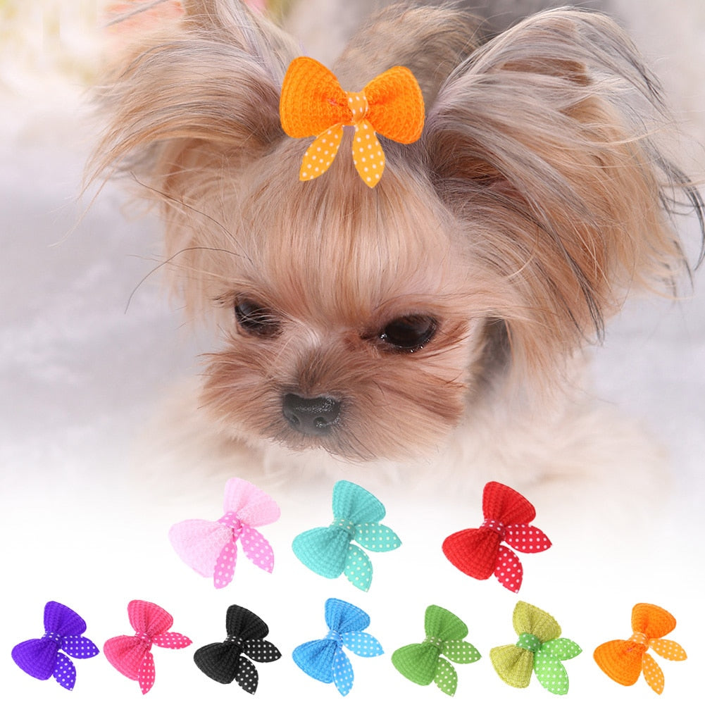 10-30pcs Pet Dog Hairpin Cat Beauty Supplies