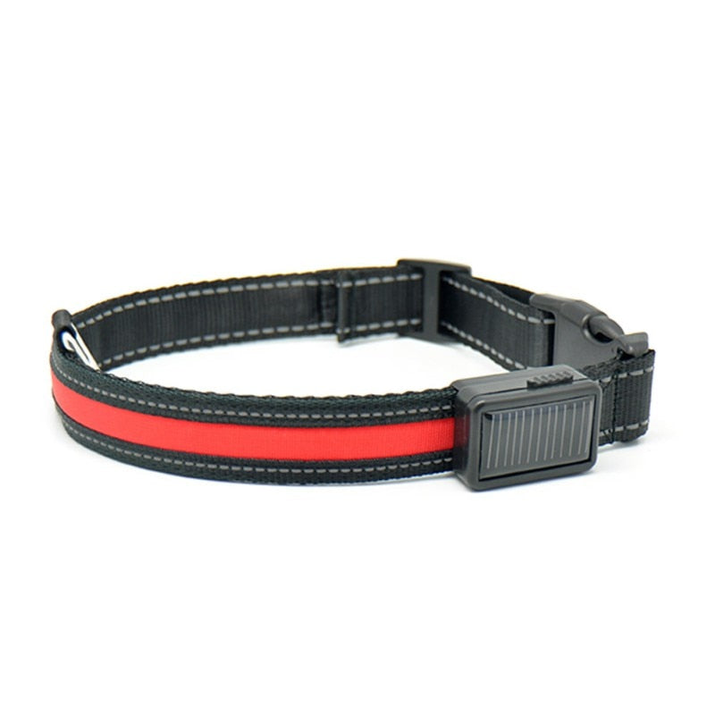 LED Lights Dog Collars Night Safety