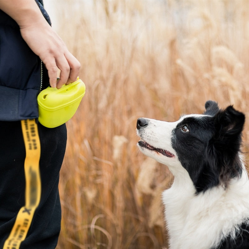 Pet Portable Dog Training Waist Bag Treat