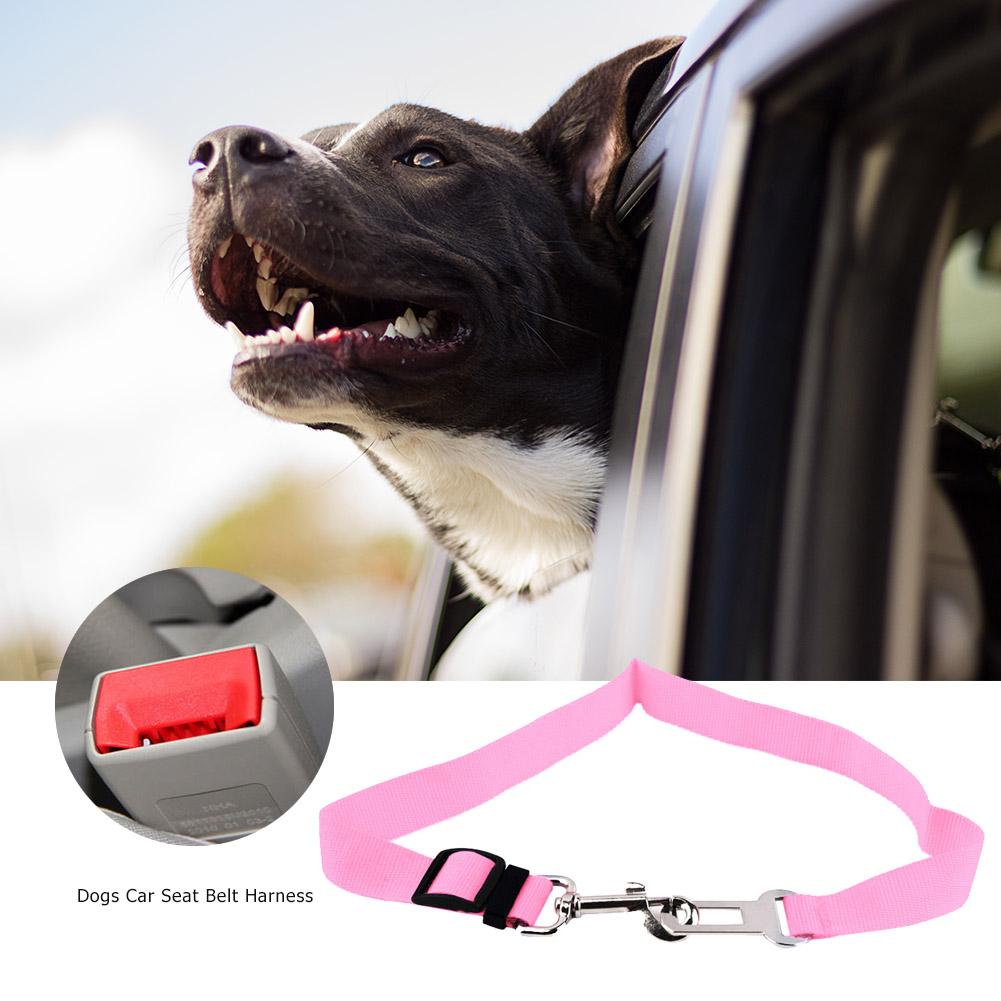 Adjustable Seat Belt Harness Cats  Dogs