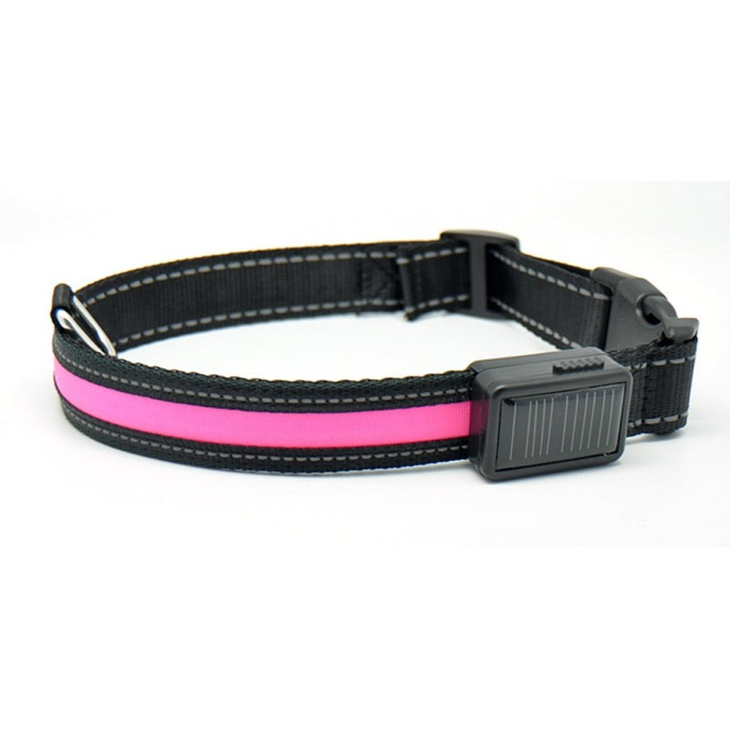 LED Lights Dog Collars Night Safety