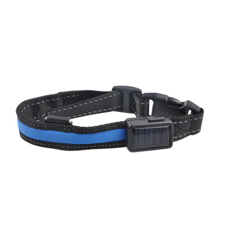 LED Lights Dog Collars Night Safety