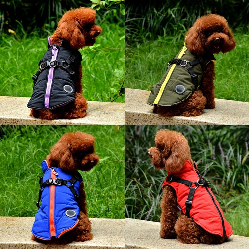 Pet Dog Jacket With Harness &amp; Leash