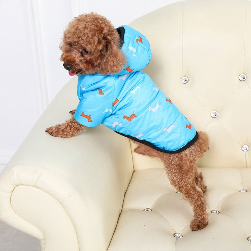 Pet Winter Thickened Cotton-padded Coat For Dog