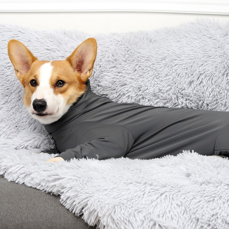 Surgery Recovery Clothes For Dogs