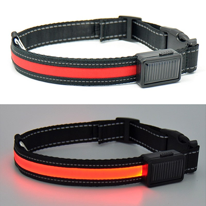 LED Lights Dog Collars Night Safety