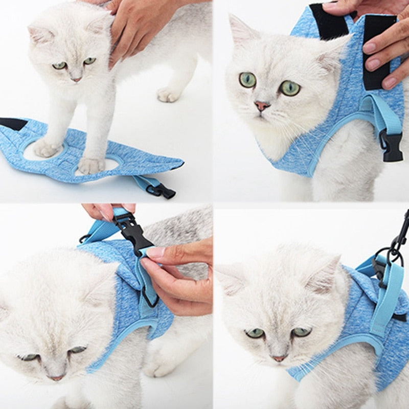 Small Pet Dog Cat Harness Escape-Proof