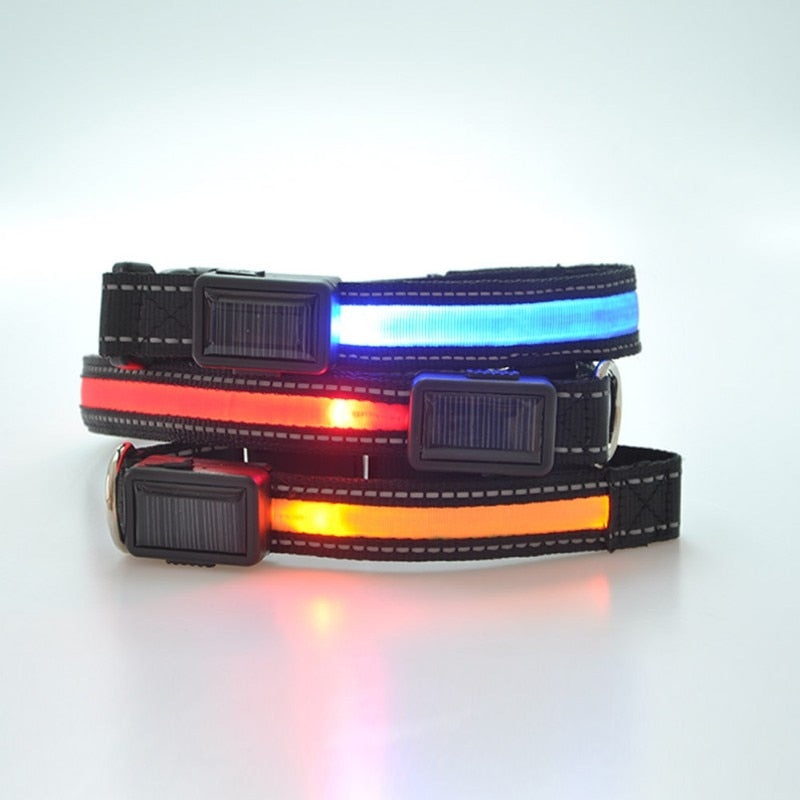 LED Lights Dog Collars Night Safety