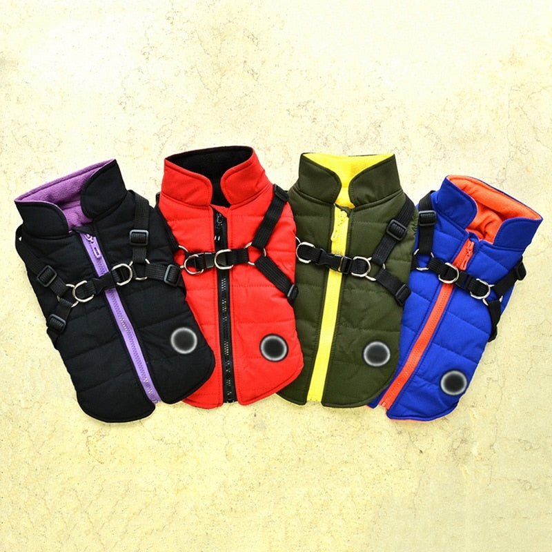 Pet Dog Jacket With Harness &amp; Leash