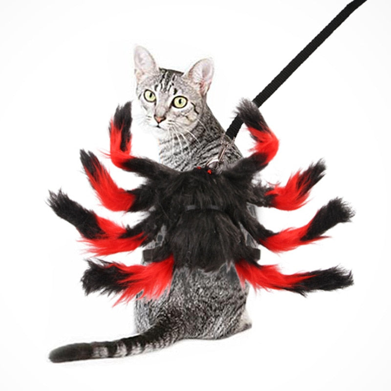 Halloween Pet Spider Clothes