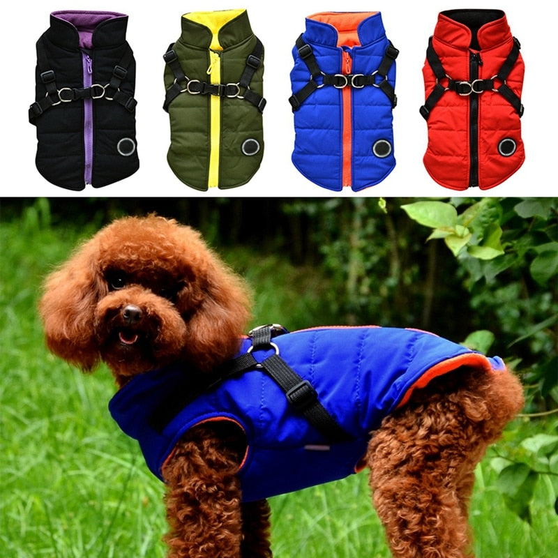 Pet Dog Jacket With Harness &amp; Leash